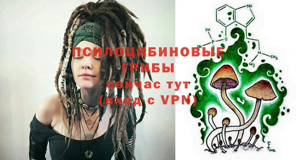 а пвп мука Кукмор