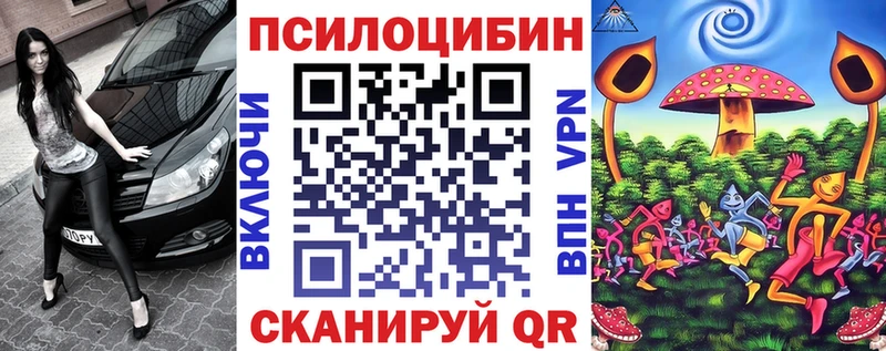 Псилоцибиновые грибы Psilocybe  Усть-Катав 